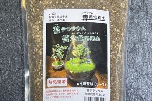 苔テラリウム 苔盆栽専用土