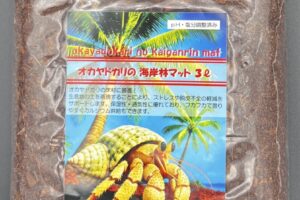 オカヤドカリの海岸林マット３L